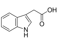 3-吲哚<em>乙酸</em>，CP，97%