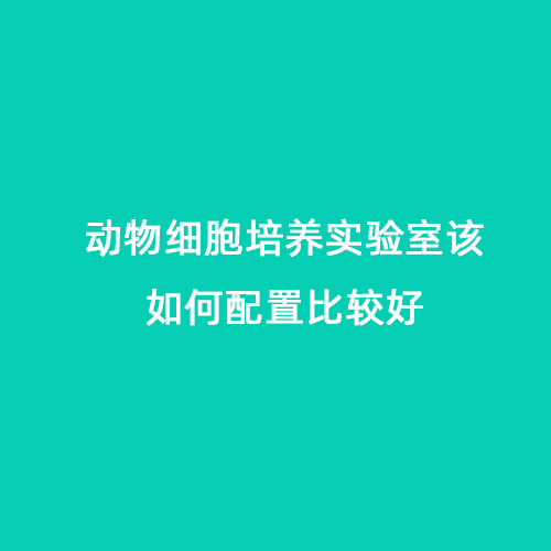 動物細胞培養實驗室該如何配置比較好